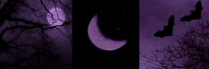𝖉𝐚𝐦𝐢𝐚 . ⋆ ♱ banner