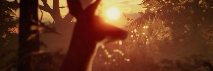 willow ♬𝄞.ᐟ banner