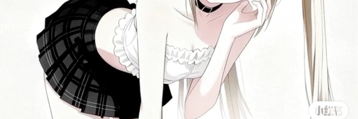 Zzz banner