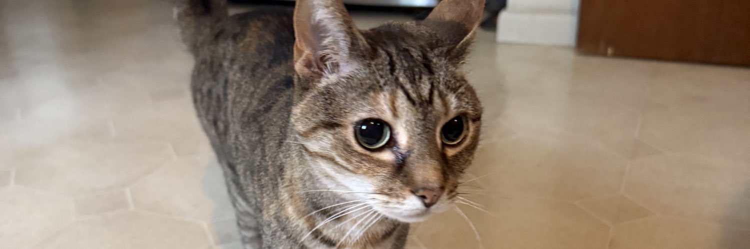 fuggitfuturepepe banner