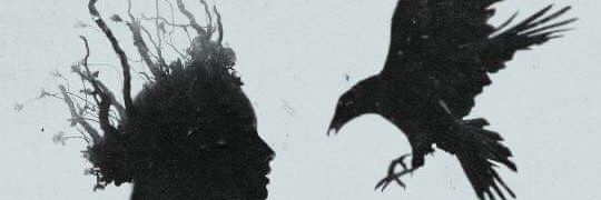 GuntherSmash's profile banner image