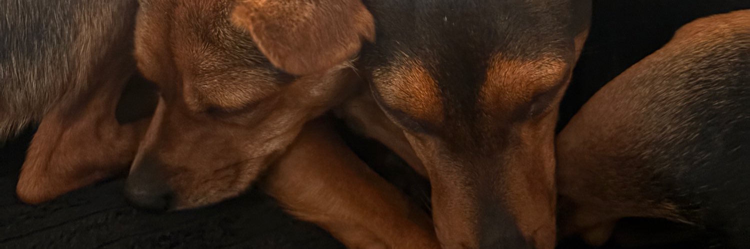 pepcuenca's profile banner image