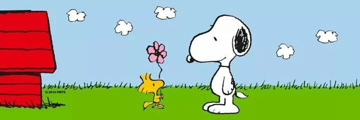 madison|#1 snoopy lover of recovtwt banner