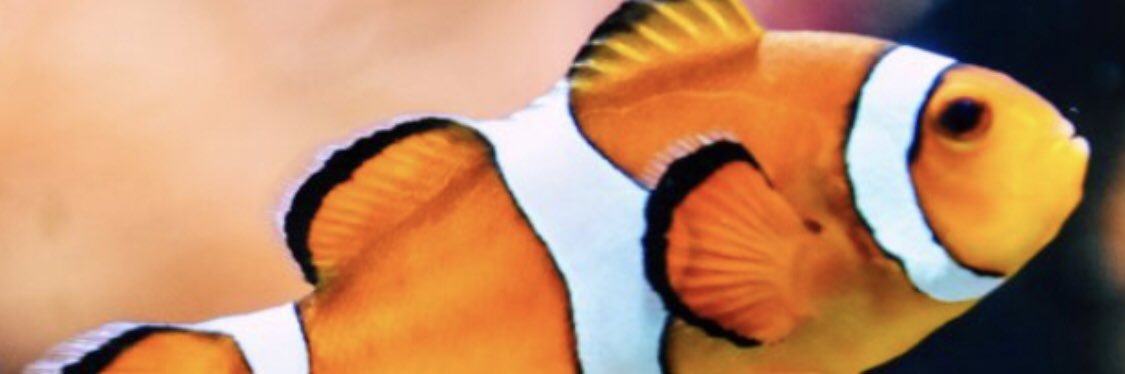 BaBaidsk's profile banner image