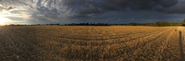 GavinDrake62 Profile Banner