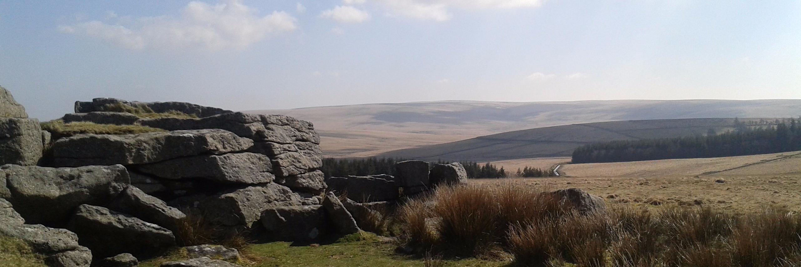 Kate Medhurst banner