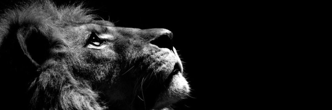 mahmozcelk's profile banner image