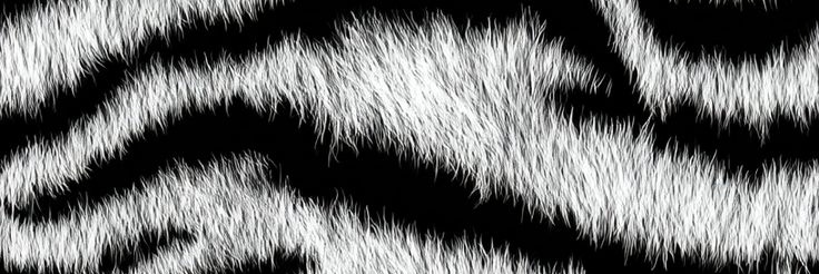 userFranzotti banner