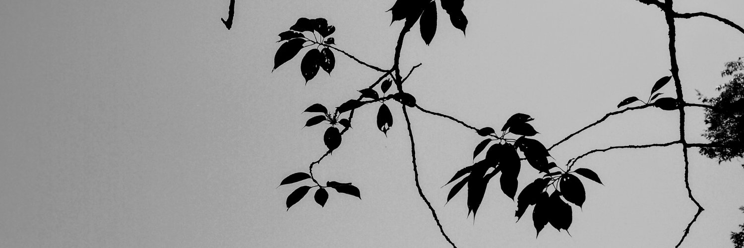 __ixor__'s profile banner image