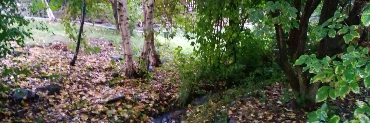 Gema Alcañiz Roy 💚 banner