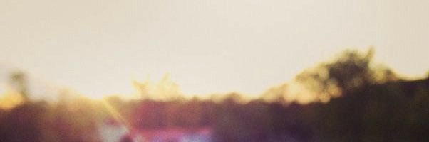Snare 🔞 banner