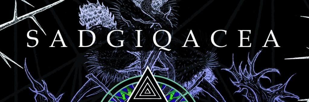 SADGIQACEA's profile banner image