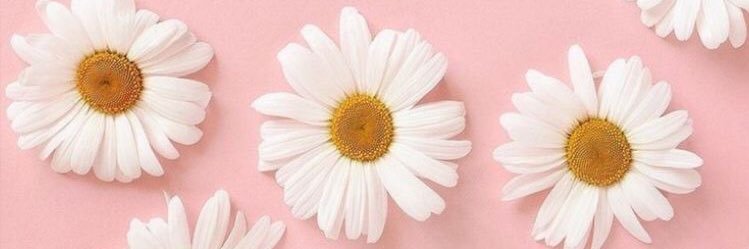 eylulakray's profile banner image