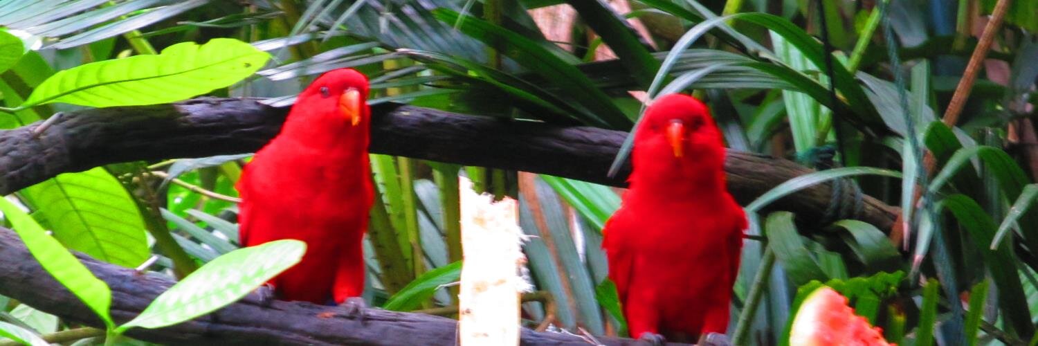 happychappu's profile banner image