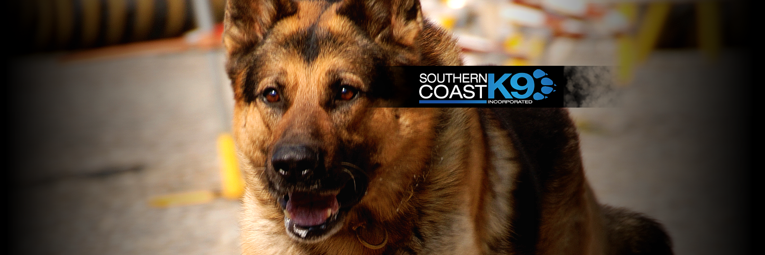 SouthernCoastK9's profile banner image