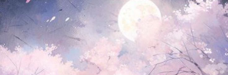 xyviraaa_0's profile banner image