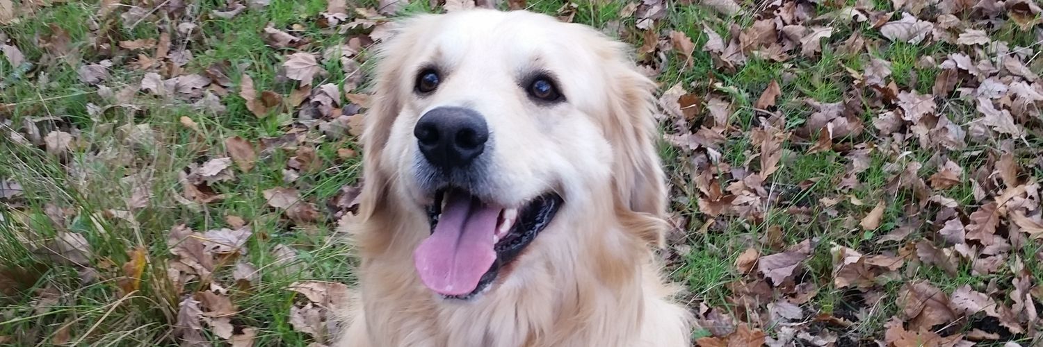 Sammyjolou's profile banner image