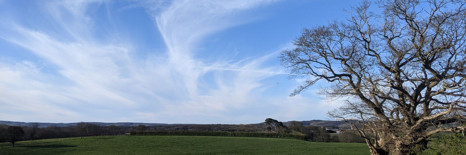 Colman 🇮🇪🇪🇺🇺🇦💙 banner