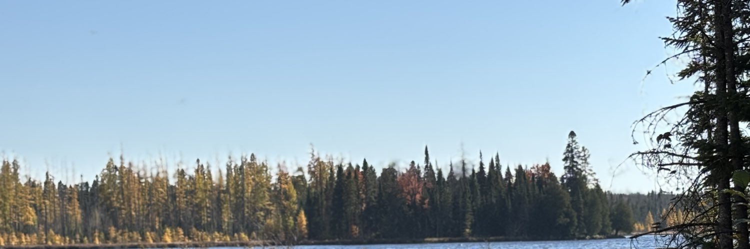 davidcsaint's profile banner image