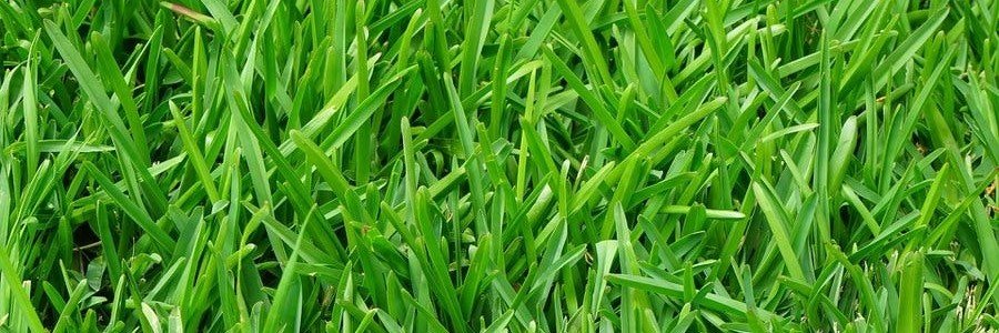 archieolgs's profile banner image