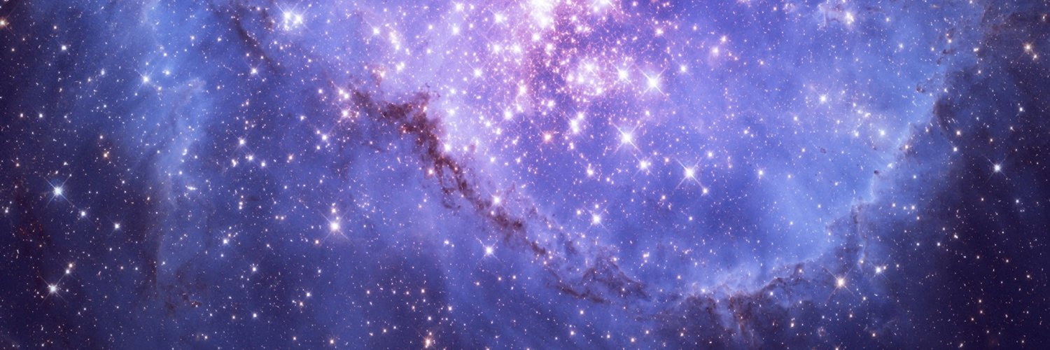 Selene Strix 🦉🔮【PRE-DEBUT】 banner