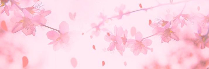 Linoya banner