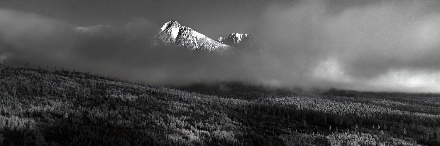 Ezra Video editor banner