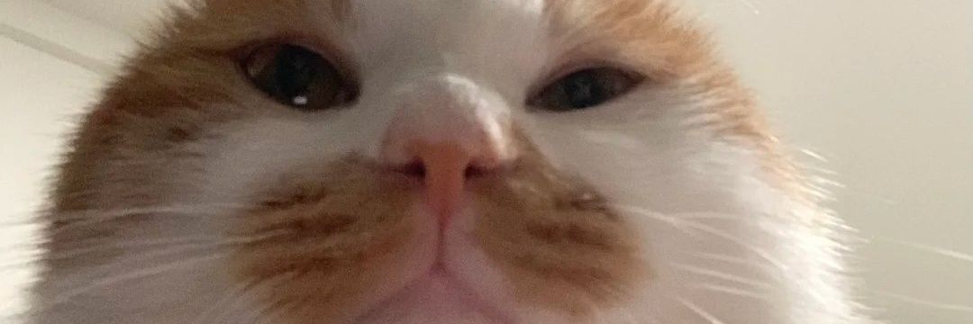 🍒Be_rich🍒 banner