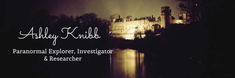 Ashley Knibb banner