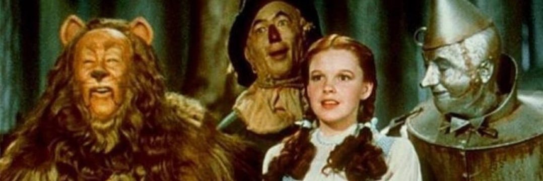 fanny fallacy banner