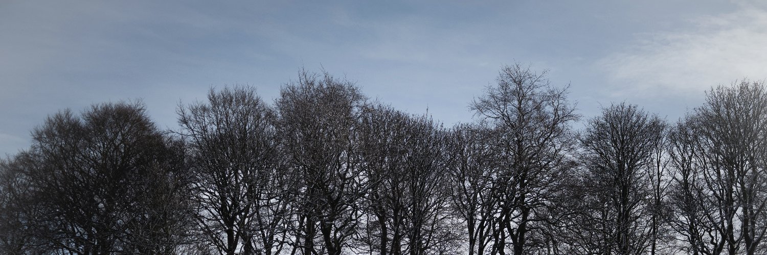 acatcalledfrank's profile banner image