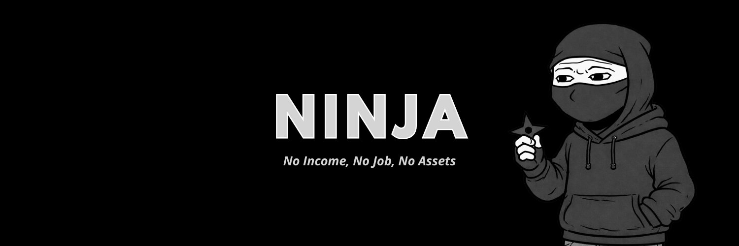 Ninja banner