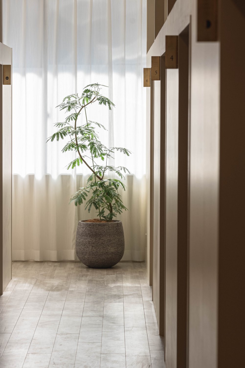 manjaroclinic's profile banner image