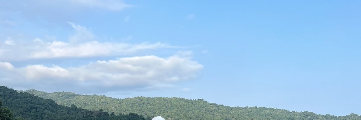 Mamaz banner