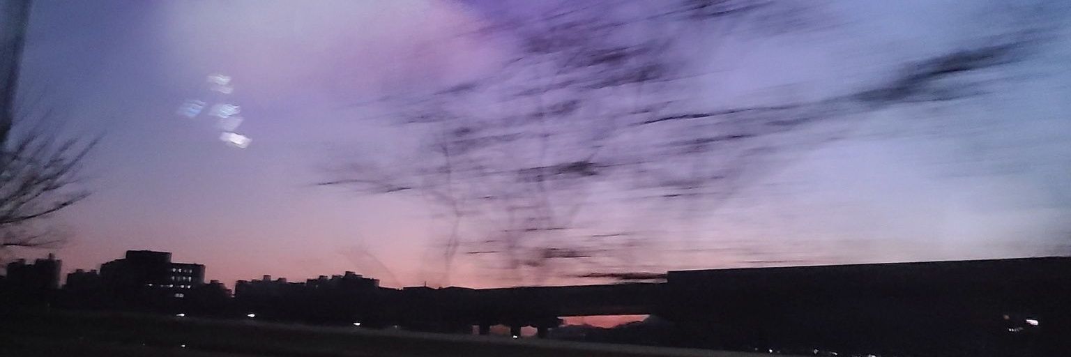 BananaforB's profile banner image