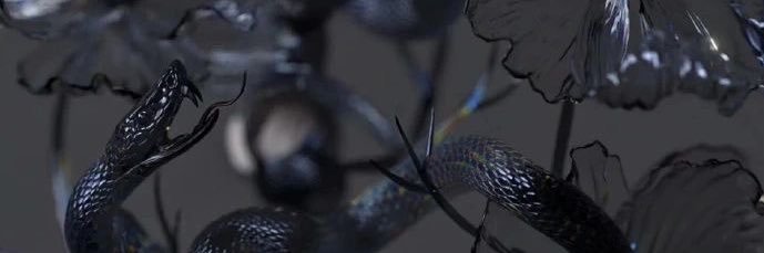 Venus banner