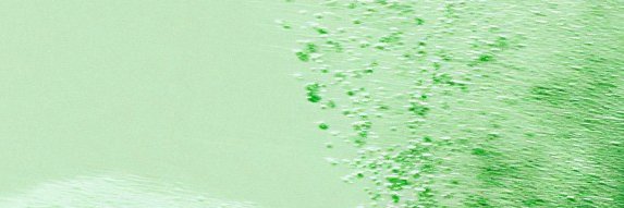 weareclusia's profile banner image