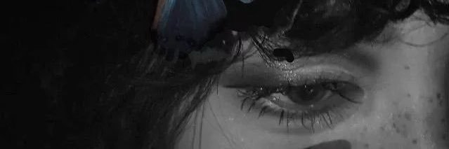 🦋 banner