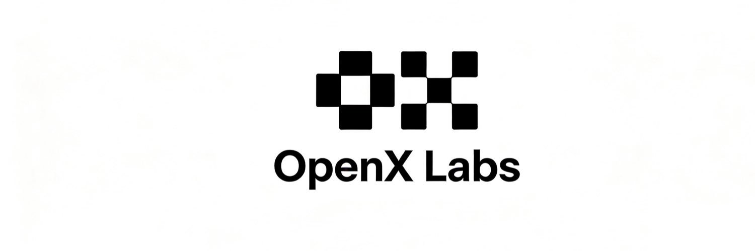 OpenX_Labs's profile banner image