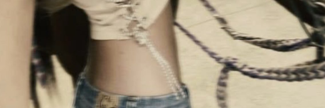 🦢 banner