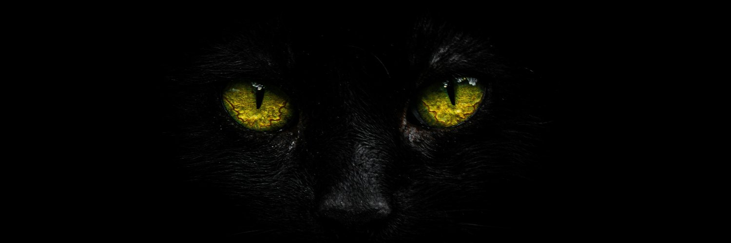 kryptokat banner