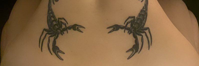 ssswallowsub's profile banner image