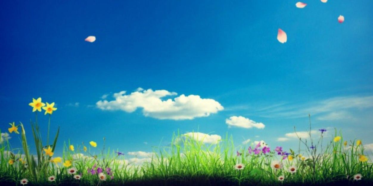 Wagwoof's profile banner image