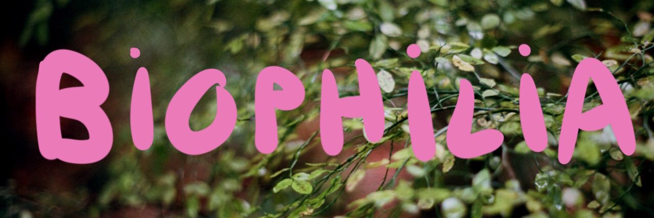 Dr Melissa Avdeeff 🌿 banner