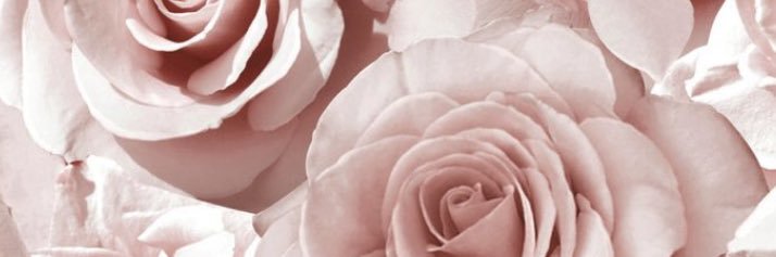 GoddessSammmxx's profile banner image