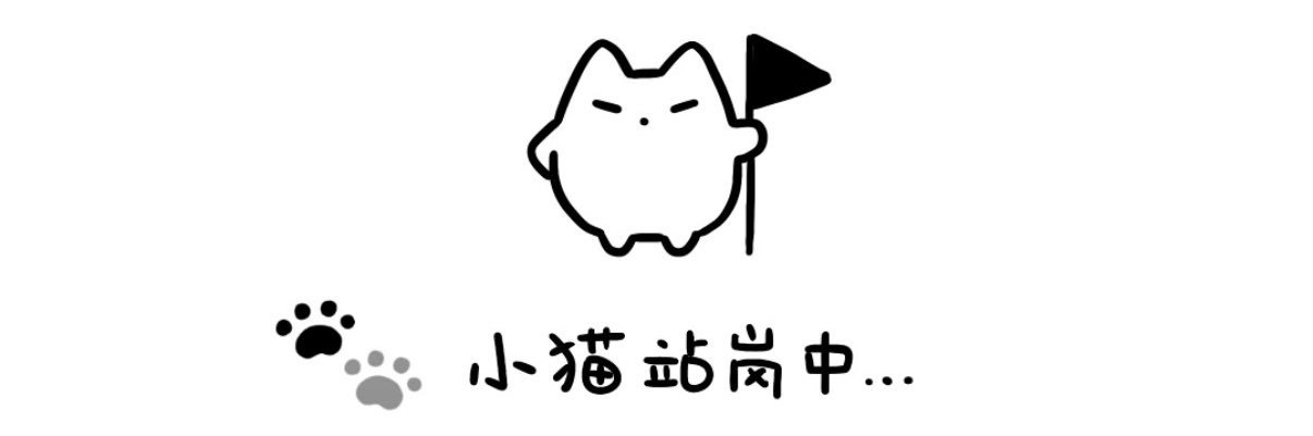 一只猫 banner