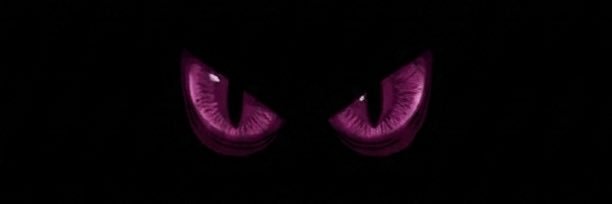 さっくん banner