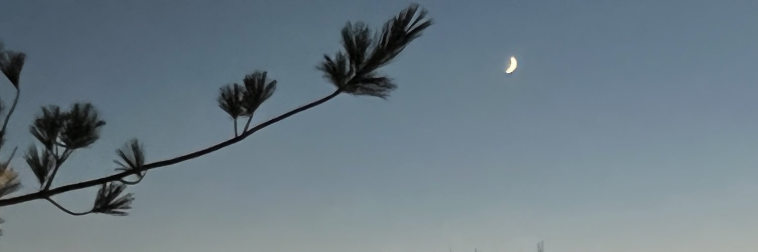 DaveOBrienRadio's profile banner image