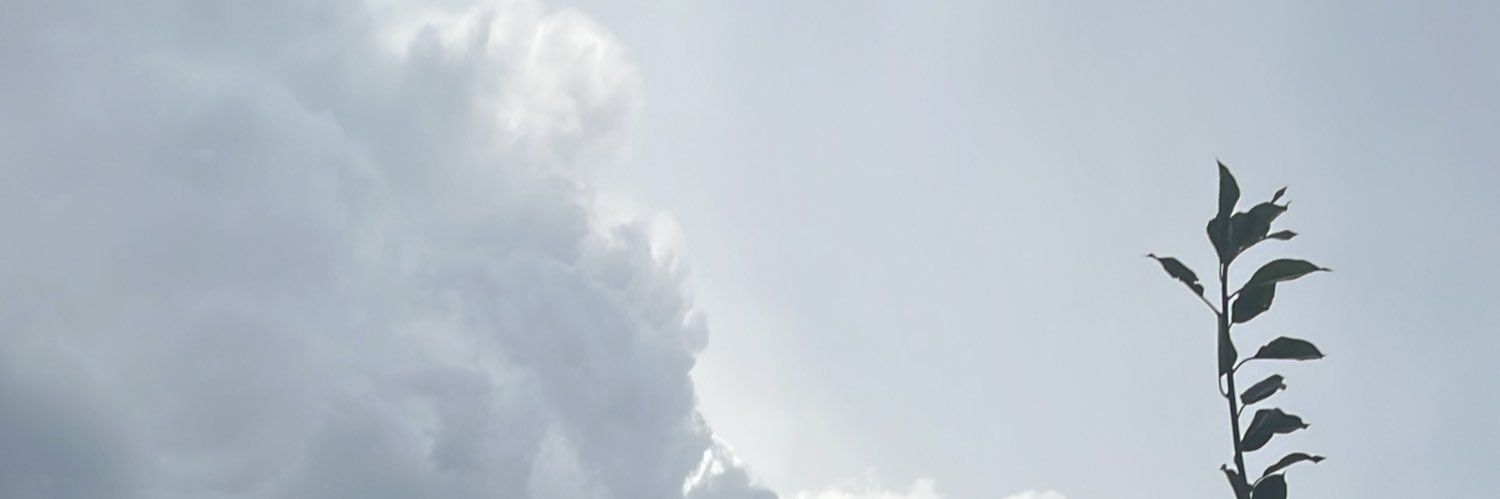 FerBetTrej01's profile banner image