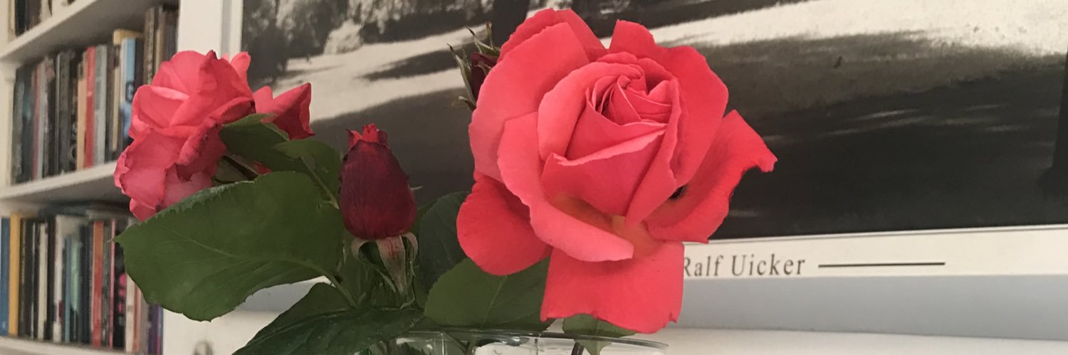 Sarah Corrigan banner